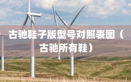 古驰鞋子版型号对照表图（古驰所有鞋）