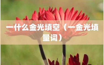 一什么金光填空（一金光填量词）