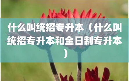 什么叫统招专升本（什么叫统招专升本和全日制专升本）