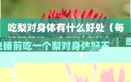 吃梨对身体有什么好处（每晚睡前吃一个梨对身体好不）