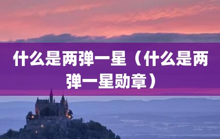什么是两弹一星（什么是两弹一星勋章）