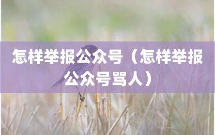 怎样举报公众号（怎样举报公众号骂人）