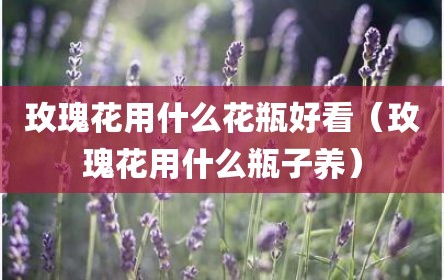 玫瑰花用什么花瓶好看（玫瑰花用什么瓶子养）