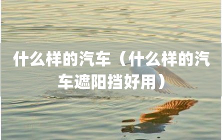 什么样的汽车（什么样的汽车遮阳挡好用）
