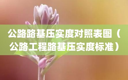 公路路基压实度对照表图（公路工程路基压实度标准）