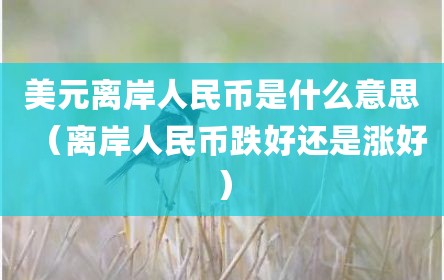 美元离岸人民币是什么意思（离岸人民币跌好还是涨好）