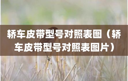 轿车皮带型号对照表图（轿车皮带型号对照表图片）