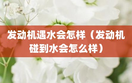 发动机遇水会怎样（发动机碰到水会怎么样）