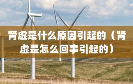 肾虚是什么原因引起的（肾虚是怎么回事引起的）