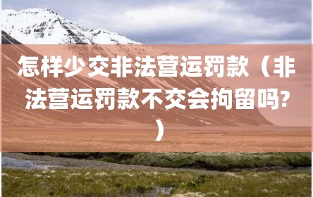 怎样少交非法营运罚款（非法营运罚款不交会拘留吗?）