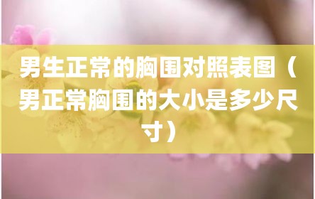 男生正常的胸围对照表图（男正常胸围的大小是多少尺寸）