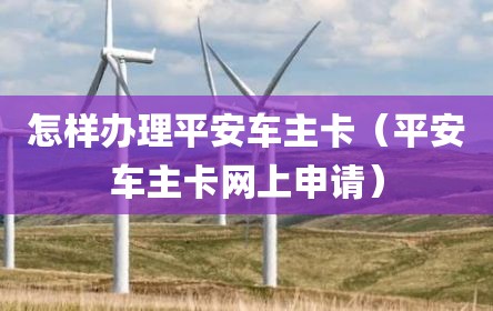 怎样办理平安车主卡（平安车主卡网上申请）