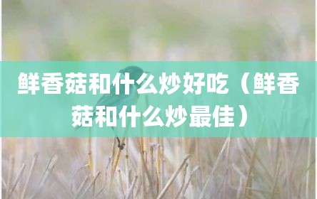 鲜香菇和什么炒好吃（鲜香菇和什么炒最佳）