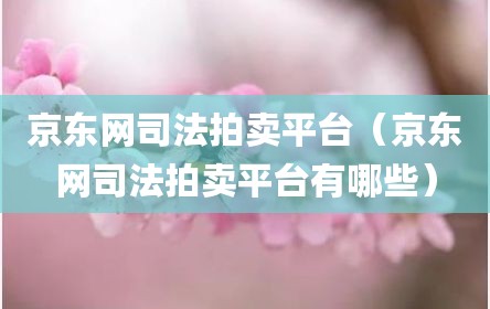 京东网司法拍卖平台（京东网司法拍卖平台有哪些）