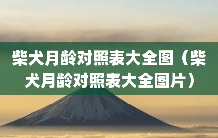 柴犬月龄对照表大全图（柴犬月龄对照表大全图片）