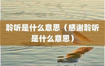 聆听是什么意思（感谢聆听是什么意思）