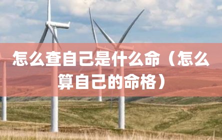 怎么查自己是什么命（怎么算自己的命格）
