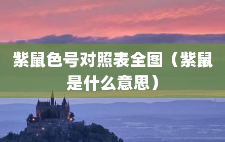 紫鼠色号对照表全图（紫鼠是什么意思）