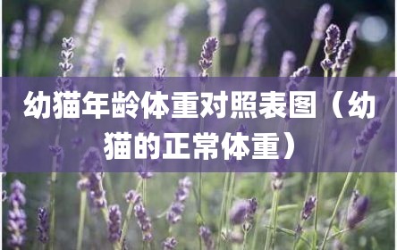 幼猫年龄体重对照表图（幼猫的正常体重）