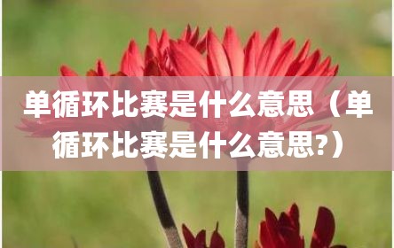 单循环比赛是什么意思（单循环比赛是什么意思?）