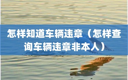 怎样知道车辆违章（怎样查询车辆违章非本人）