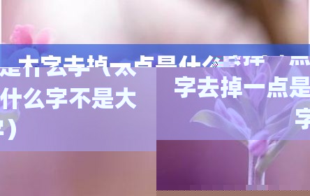 太字去掉一点是什么字（太字去掉一点是什么字不是大字）