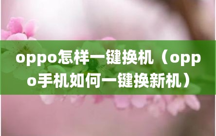 oppo怎样一键换机（oppo手机如何一键换新机）