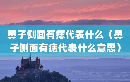 鼻子侧面有痣代表什么（鼻子侧面有痣代表什么意思）