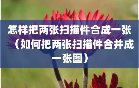 怎样把两张扫描件合成一张（如何把两张扫描件合并成一张图）
