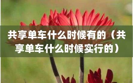 共享单车什么时候有的（共享单车什么时候实行的）