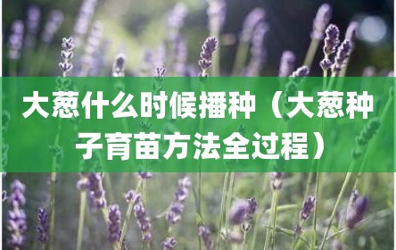 大葱什么时候播种（大葱种子育苗方法全过程）