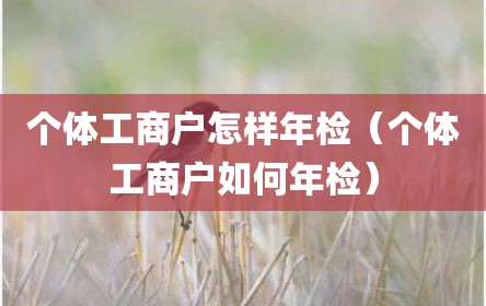 个体工商户怎样年检（个体工商户如何年检）