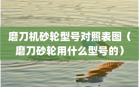 磨刀机砂轮型号对照表图（磨刀砂轮用什么型号的）