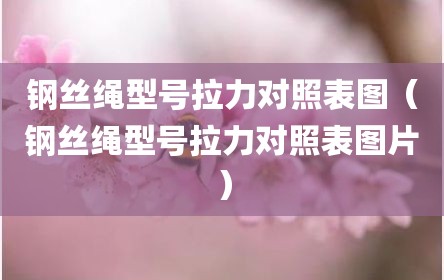 钢丝绳型号拉力对照表图（钢丝绳型号拉力对照表图片）