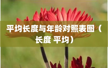 平均长度与年龄对照表图（长度 平均）
