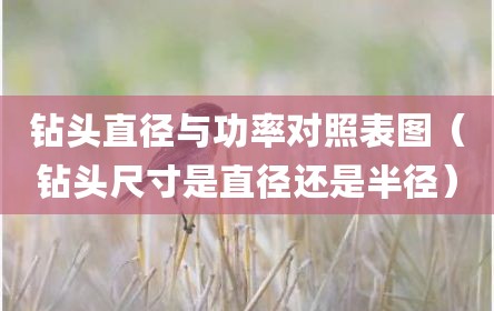 钻头直径与功率对照表图（钻头尺寸是直径还是半径）
