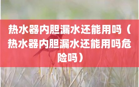 热水器内胆漏水还能用吗（热水器内胆漏水还能用吗危险吗）