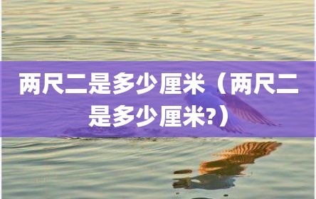 两尺二是多少厘米（两尺二是多少厘米?）