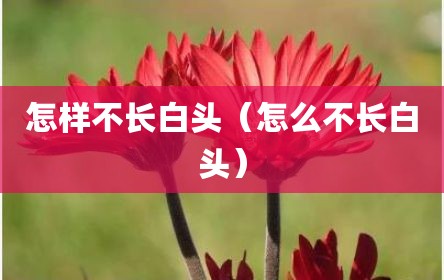 怎样不长白头（怎么不长白头）