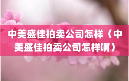 中美盛佳拍卖公司怎样（中美盛佳拍卖公司怎样啊）