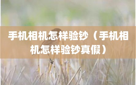 手机相机怎样验钞（手机相机怎样验钞真假）