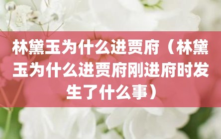 林黛玉为什么进贾府（林黛玉为什么进贾府刚进府时发生了什么事）