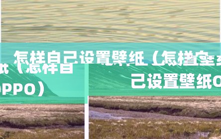 怎样自己设置壁纸（怎样自己设置壁纸OPPO）