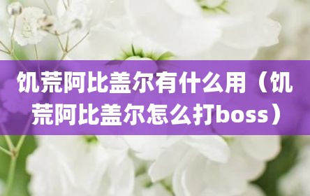 饥荒阿比盖尔有什么用（饥荒阿比盖尔怎么打boss）