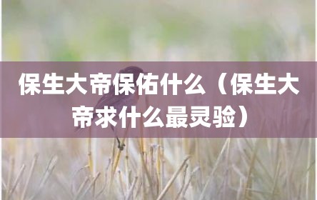 保生大帝保佑什么（保生大帝求什么最灵验）