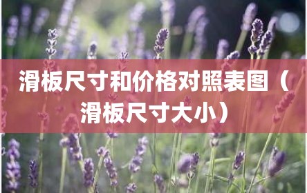 滑板尺寸和价格对照表图（滑板尺寸大小）