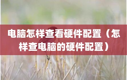 电脑怎样查看硬件配置（怎样查电脑的硬件配置）