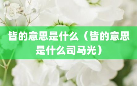 皆的意思是什么（皆的意思是什么司马光）