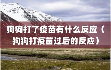 狗狗打了疫苗有什么反应（狗狗打疫苗过后的反应）