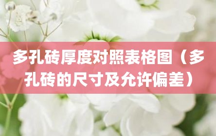 多孔砖厚度对照表格图（多孔砖的尺寸及允许偏差）